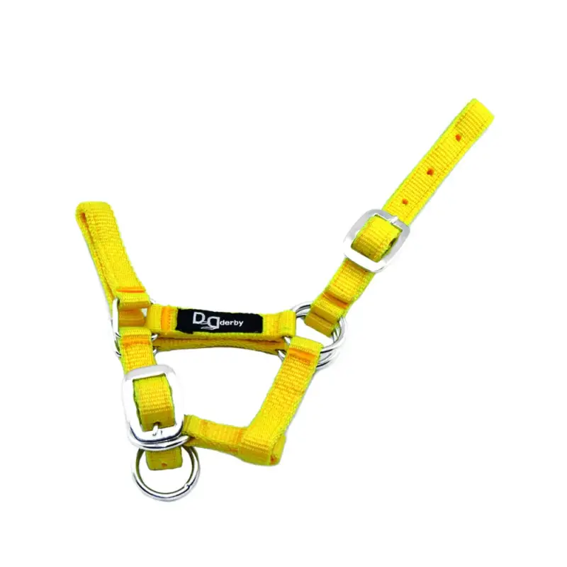 Promozione Capestro per puledro in nylon regolabile Supreme