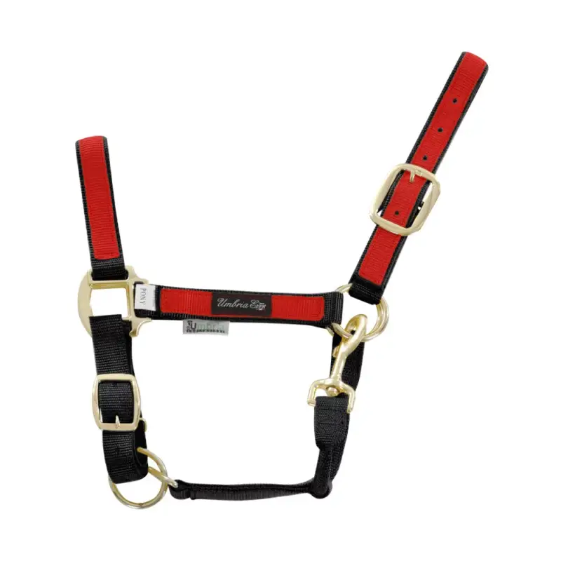 Capestro in Nylon con Parti Colorate Umbria Equitazione Compra Adesso