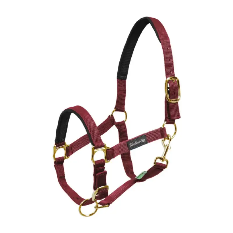 Capestro in nylon con rinforzo in neoprene Umbria Equitazione Solo Oggi