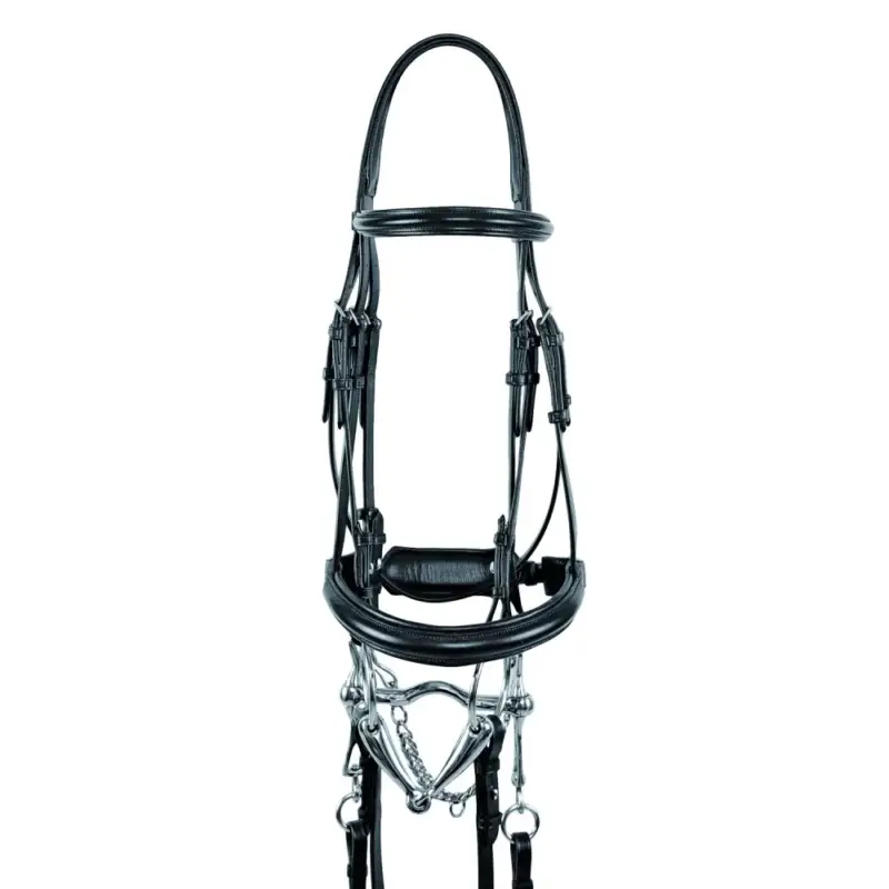 Occasione Imperdibile Briglia da Dressage Olympe Suprême