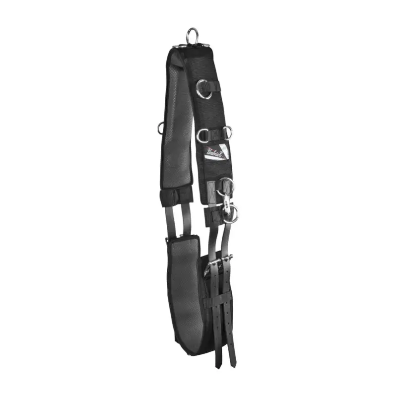 Super Prezzo Sottopancia da Addestramento Lungo in Neoprene Superiore Umbria Equitazione