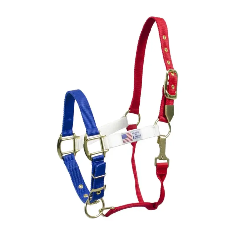 Scelto Dai Clienti Capestro in nylon colori USA Pool's
