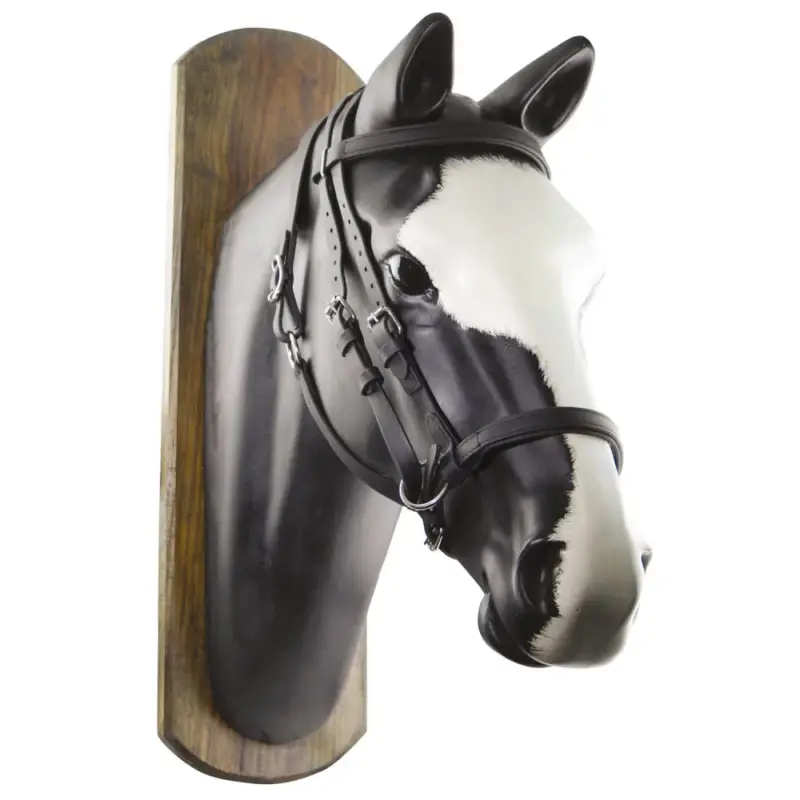 Reso Gratuito Briglia Biothane Horse Ball con Redini Umbria Equitazione