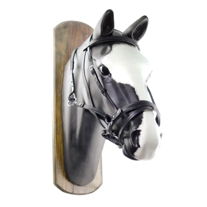 Ultima Occasione Briglia Senza Morso Horse Ball con Redini Umbria Equitazione