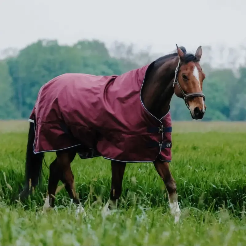 Direttamente Dal Produttore Coperta Equithème TYREX 1200D High Neck