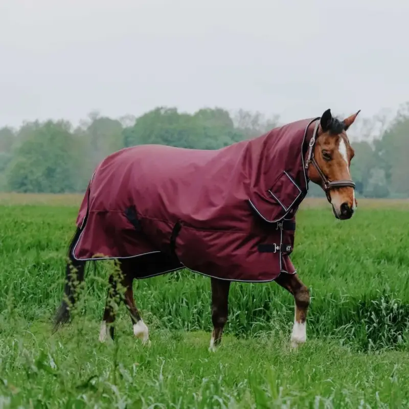 Promozione Esclusiva Coperta Equithème TYREX 1200D Combo