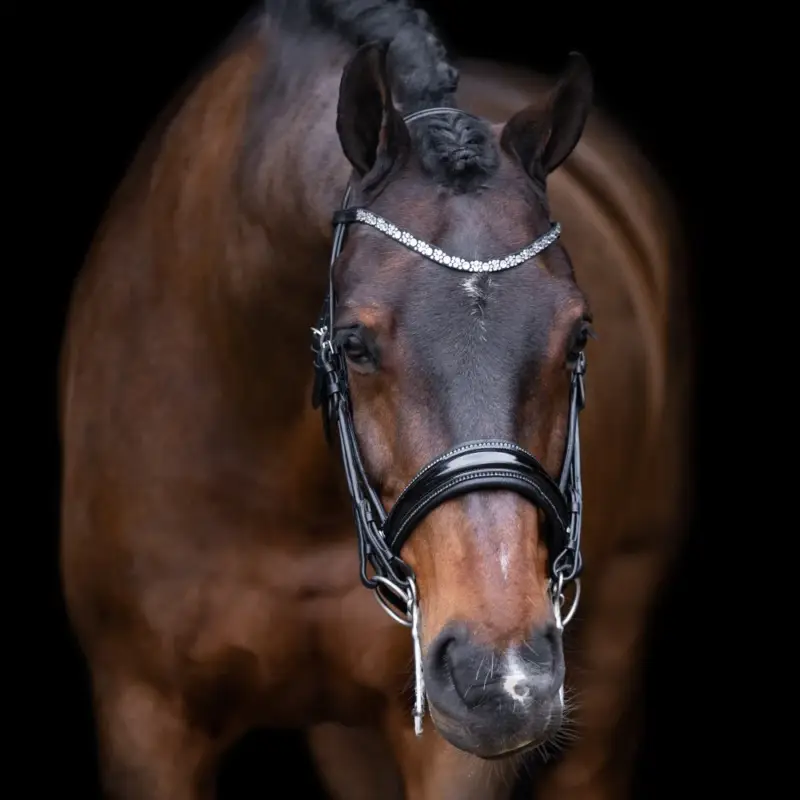 Briglia Impérial Riding Olympia Offerta Limitata