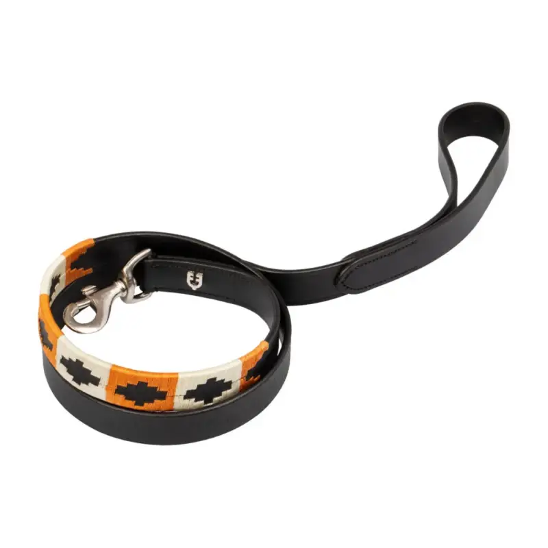 Bestseller Guinzaglio per cane modello Polo N Equestro