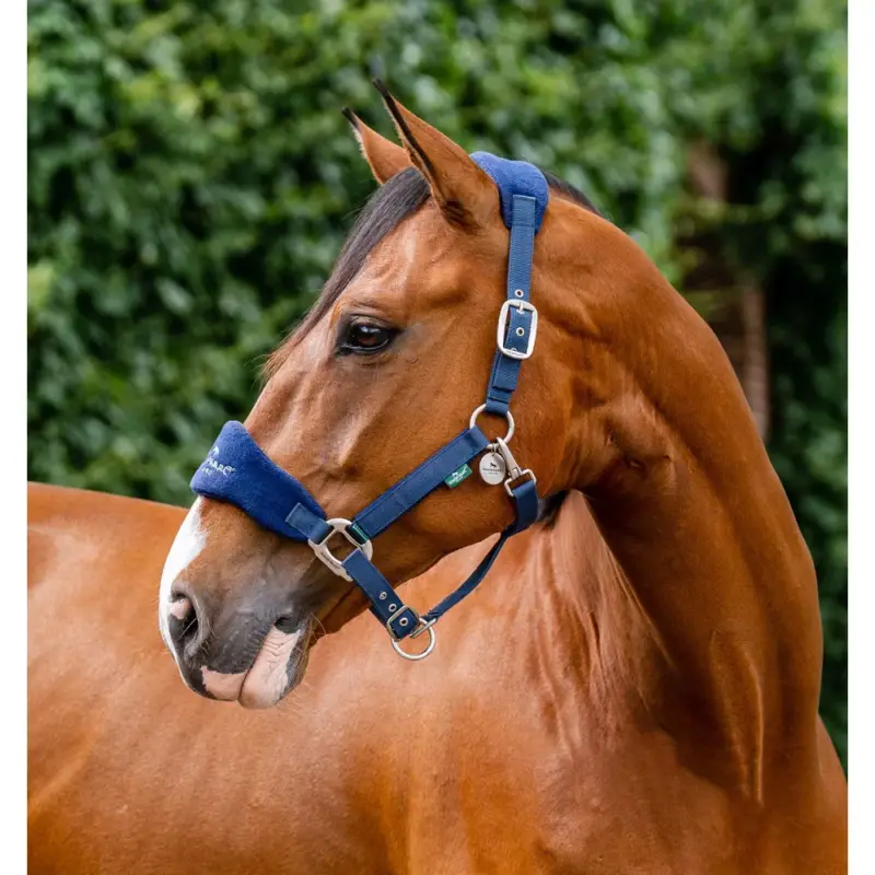 Capestro da toelettatura Signature Horseware Spedizione Espresso