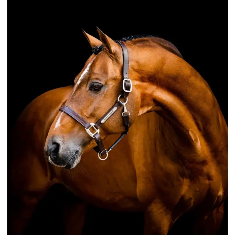Capestro in cuoio Horseware Signature Acquista Ora
