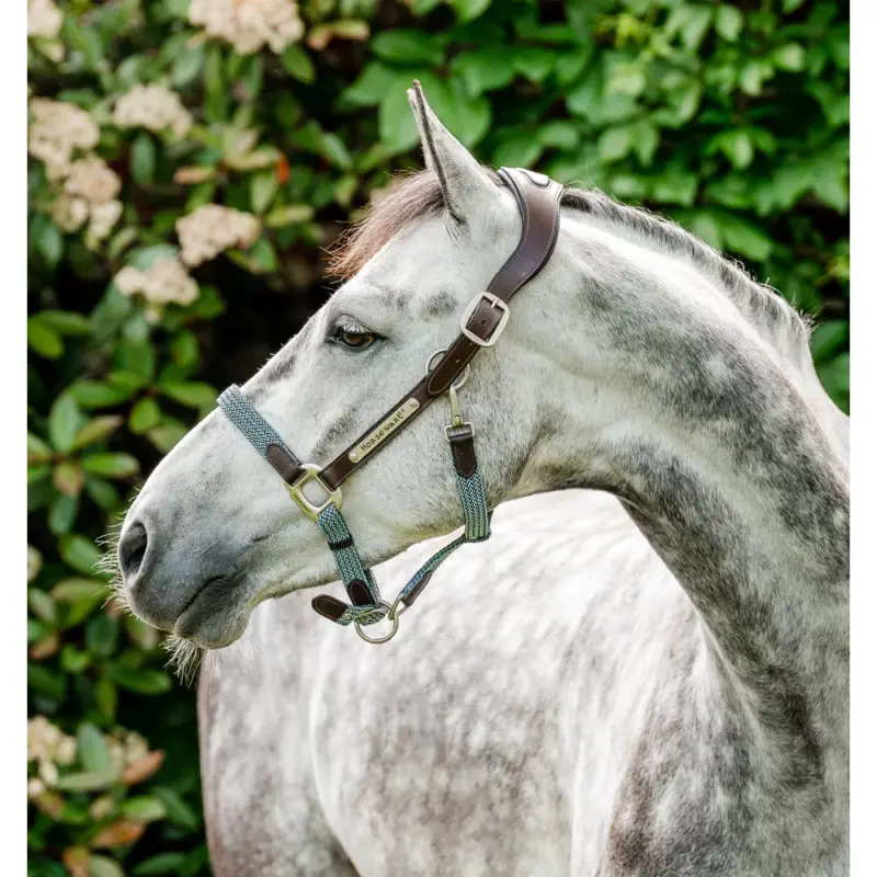 Capestro Horseware intrecciato Signature Ordina Subito