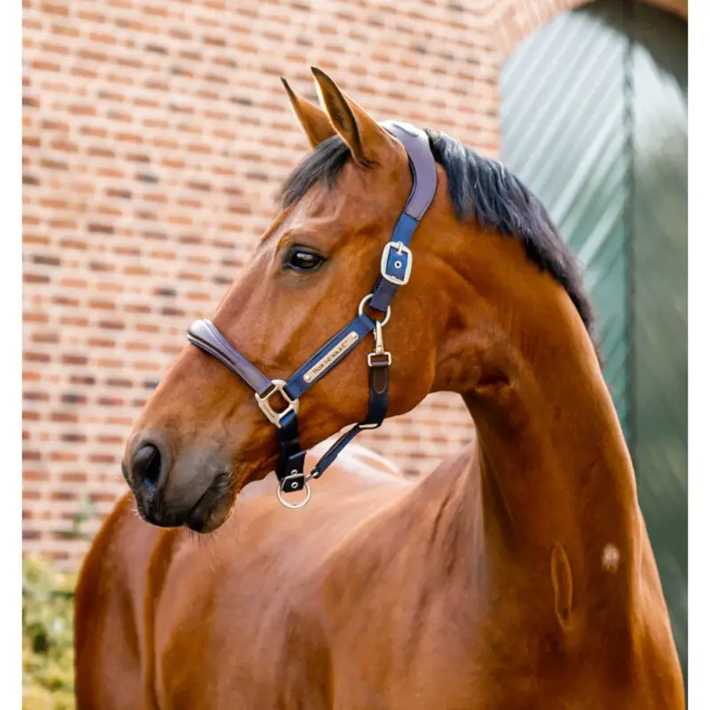 Sconto Cavezzone Horseware da concorso Signature
