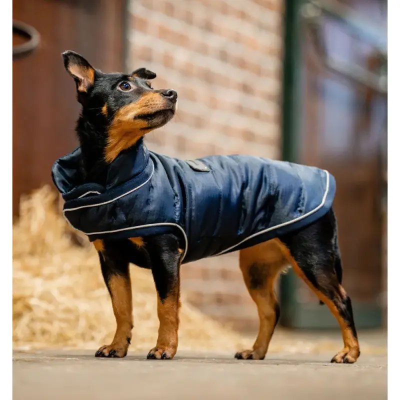 Esclusivo Coperta per cane Horseware Signature 200g