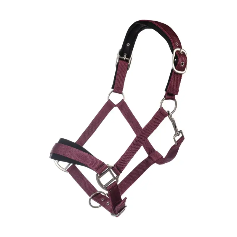 Super Prezzo Capezza HKM Samantha