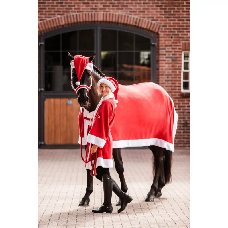 Cappellino di Natale per cavallo Horze Novità