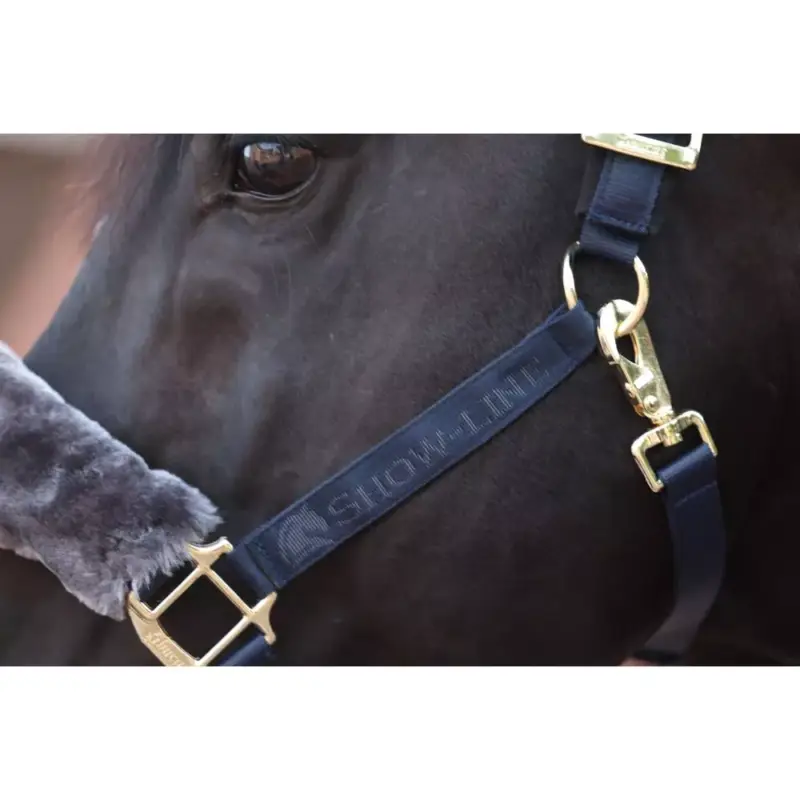 Promozione Esclusiva Halster Bucas Show-Line