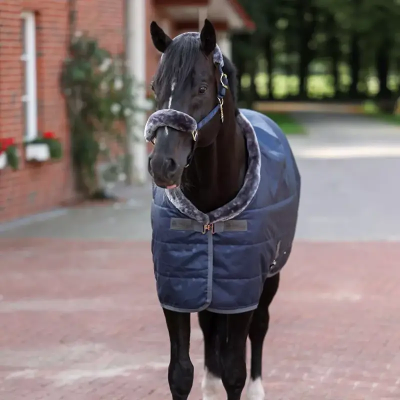 Coperta da scuderia Bucas Show-Line 150g SF Prezzo Basso