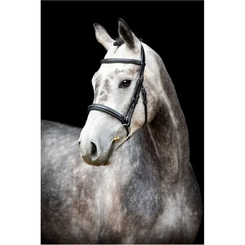 Soddisfatti O Rimborsati Bridon Montar Hunter