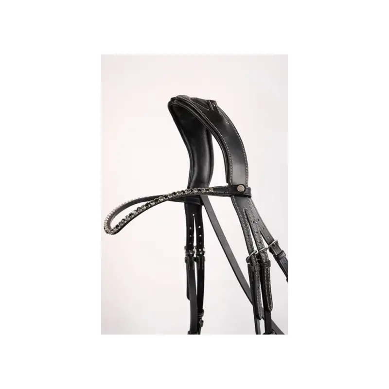 Offerta Limitata Frontale Montar Fair cristallo nero curvo