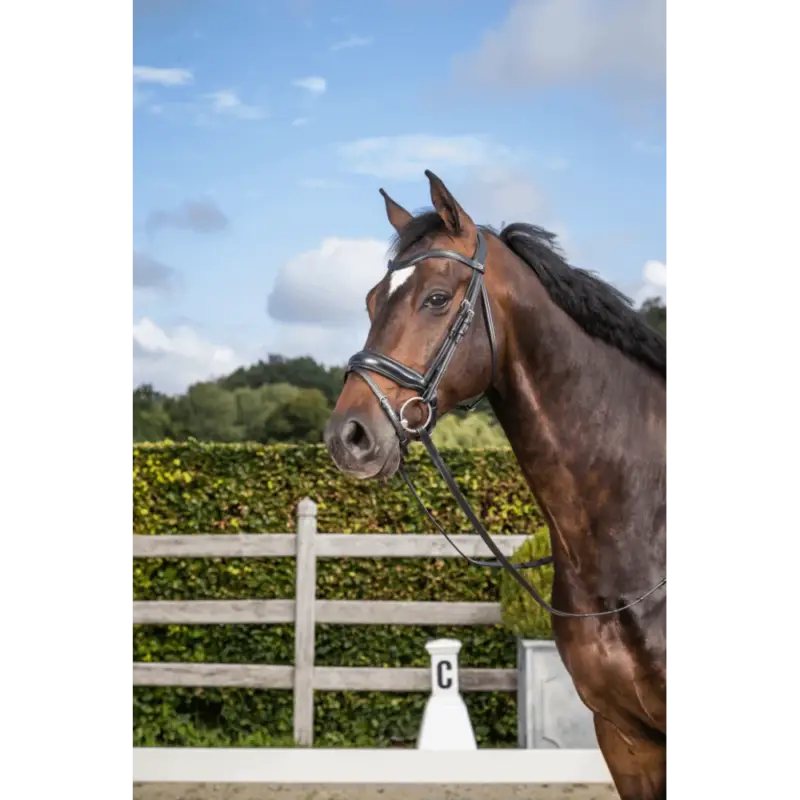 Briglia Dy'on collezione dressage cuoio piatto Capezzina Combinata Media con Chiusura Pull-Back Ultima Occasione