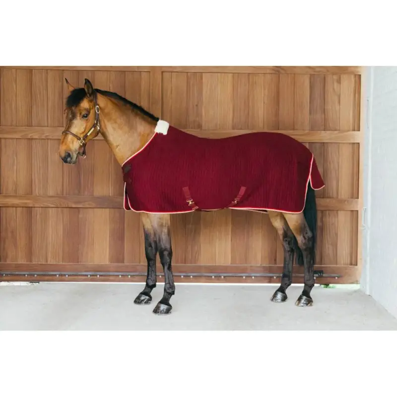 Bestseller Coperta asciugante Kentucky PROtherm
