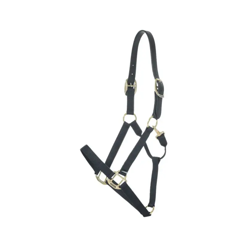 Capestro in nylon Breakaway Kentucky Vendita Finale