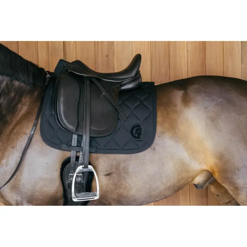 Ultima Occasione Sottosella Kentucky Wave Dressage