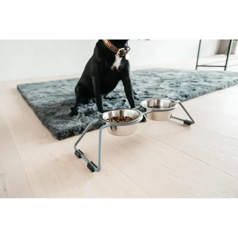 Super Prezzo Ciotola per cane Confort Kentucky