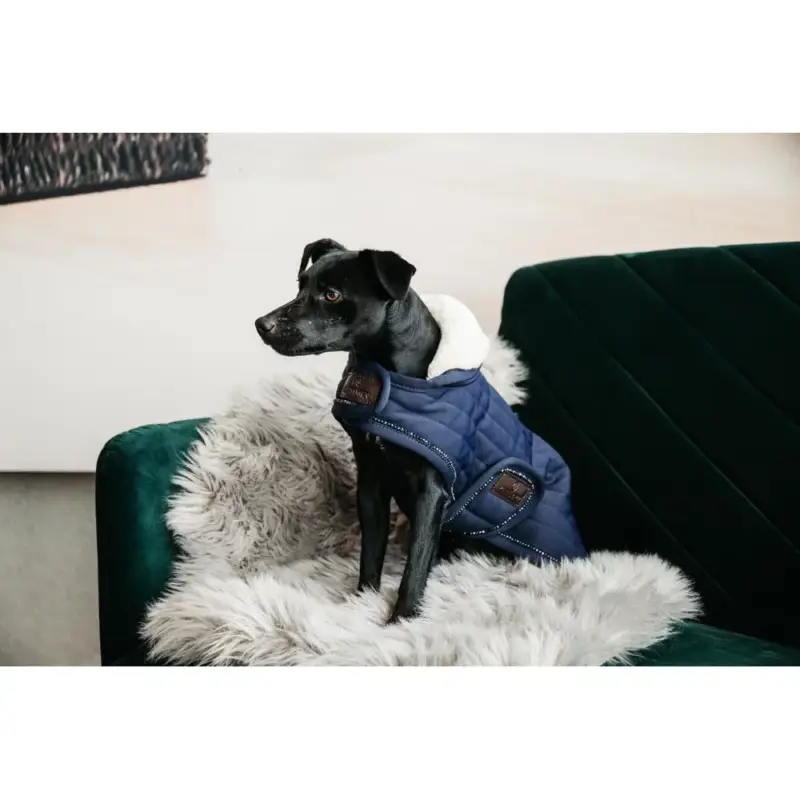 Scelto Dai Clienti Cappotto per cane Pearls Kentucky