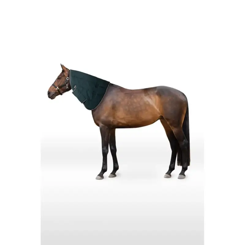 Copricollo per coperta da box Glasgow pony Hoze Non Perdere