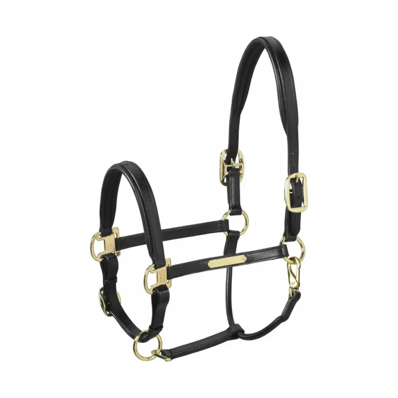Capezzina in cuoio Eskadron Elegance Quantità Limitata