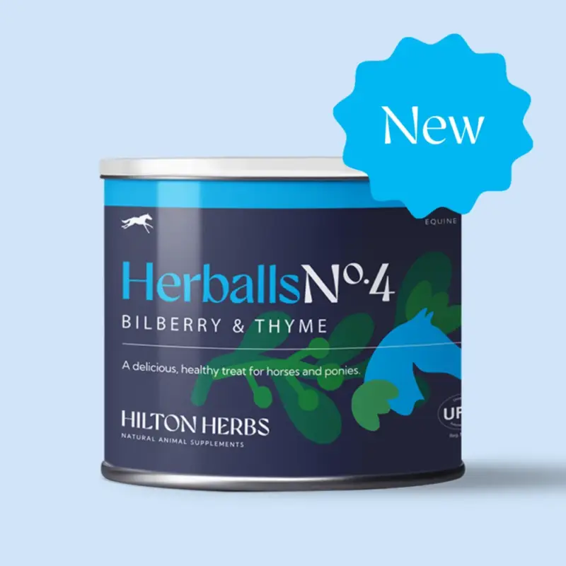 Miglior Prezzo Herballs N° 4 Mirtillo & Timo Hilton Herbs