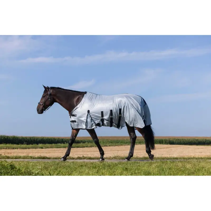 Saldi Camicia Riding World Belly Mesh