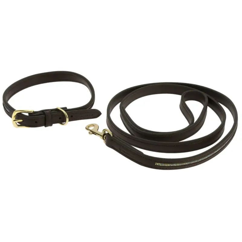 Collare e guinzaglio per cane EQUITHÈME - Max Promozione