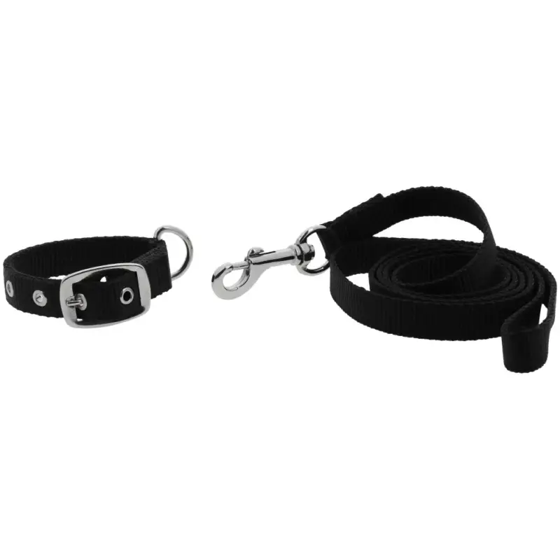 Collare e guinzaglio per cane RIDING WORLD - Oscar Prezzo Scontato