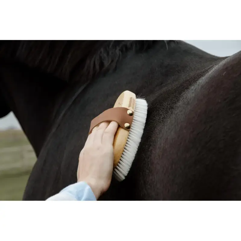 Non Perdere Spazzola morbida con setole soffici small Grooming Deluxe