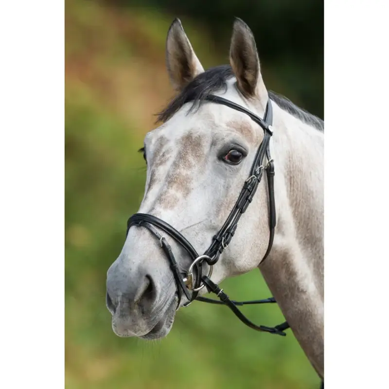 Bridon HFI Regular Consegna Rapida