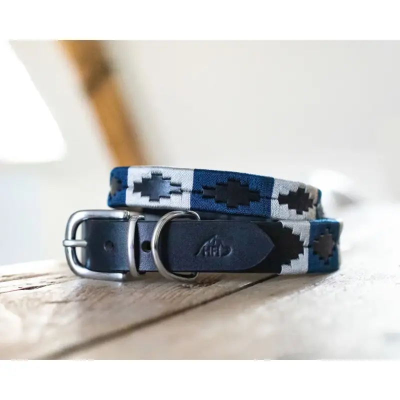 Collare per cane Polo HFI Offerta Limitata