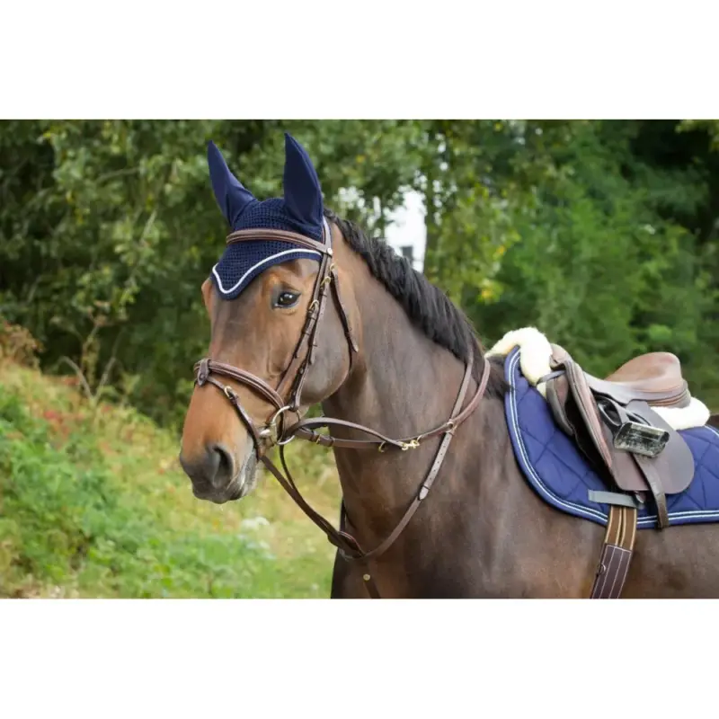 Redini Thiedeman HFI Sconto