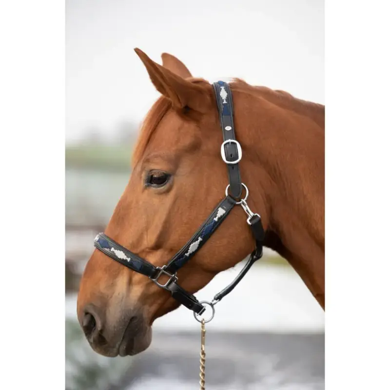Offerta Limitata Capezza HFI Polo