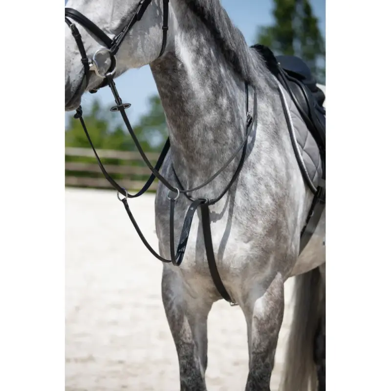 Martingala da allenamento HFI Super Prezzo
