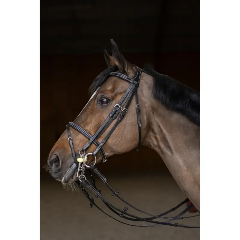Miglior Prezzo Briglia da salto HFI Master double jump
