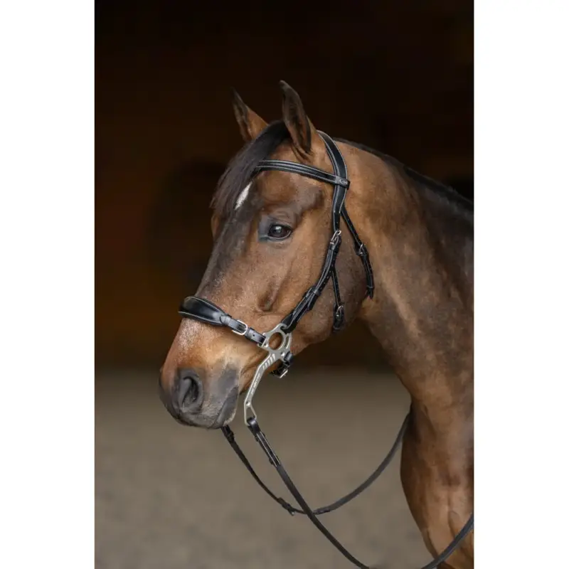 Hackamore HFI Master Bridone Promo Stagionale