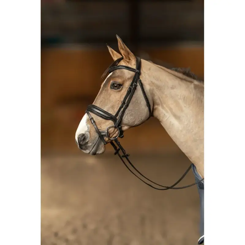 Bridon HFI Master pull-back Edges Super Prezzo
