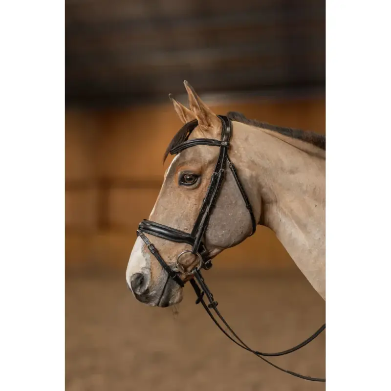 Soddisfatti O Rimborsati Bridon Pull-back Verona HFI Master Pro Line