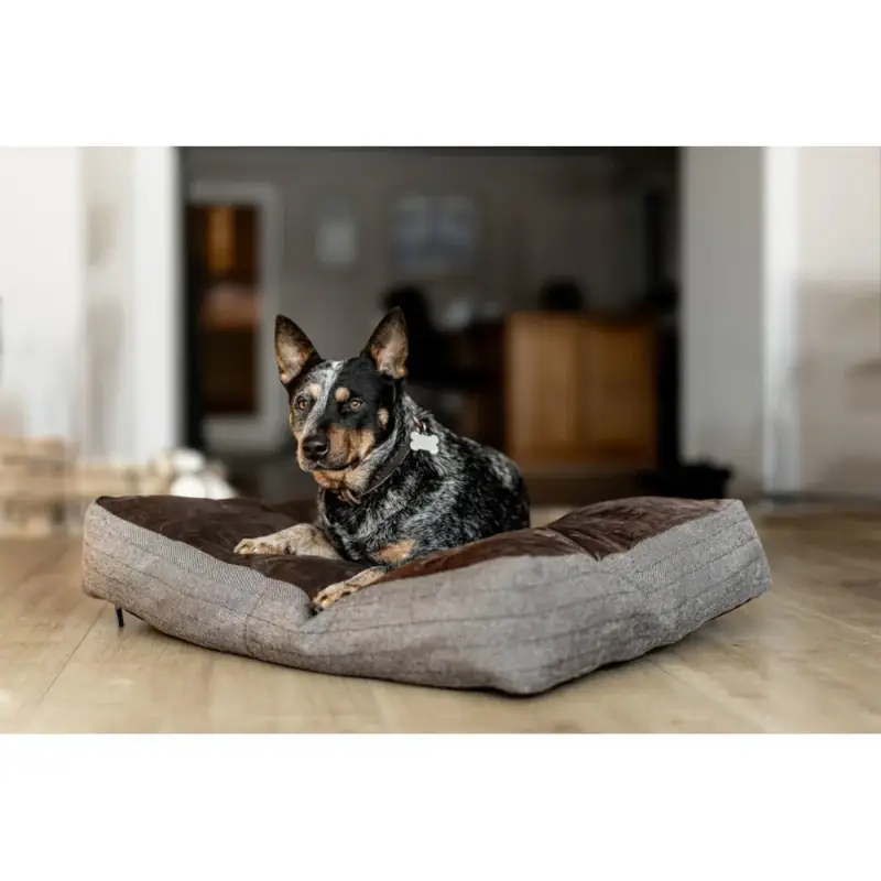 Cuscino rettangolare per cane HFI Solo Oggi