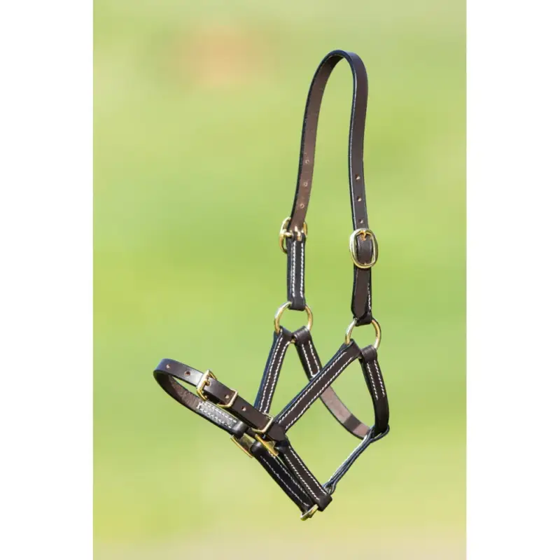 Capezzina in cuoio HFI Master Occasione Imperdibile