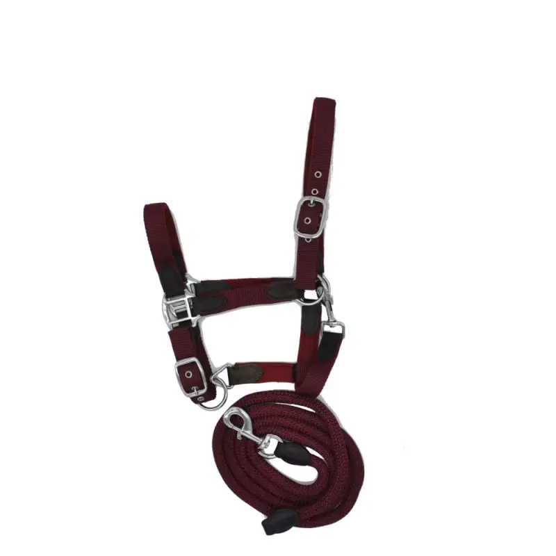 Neoprenhalfter Smart + Nylonführstrick HFI Master Prezzo Basso