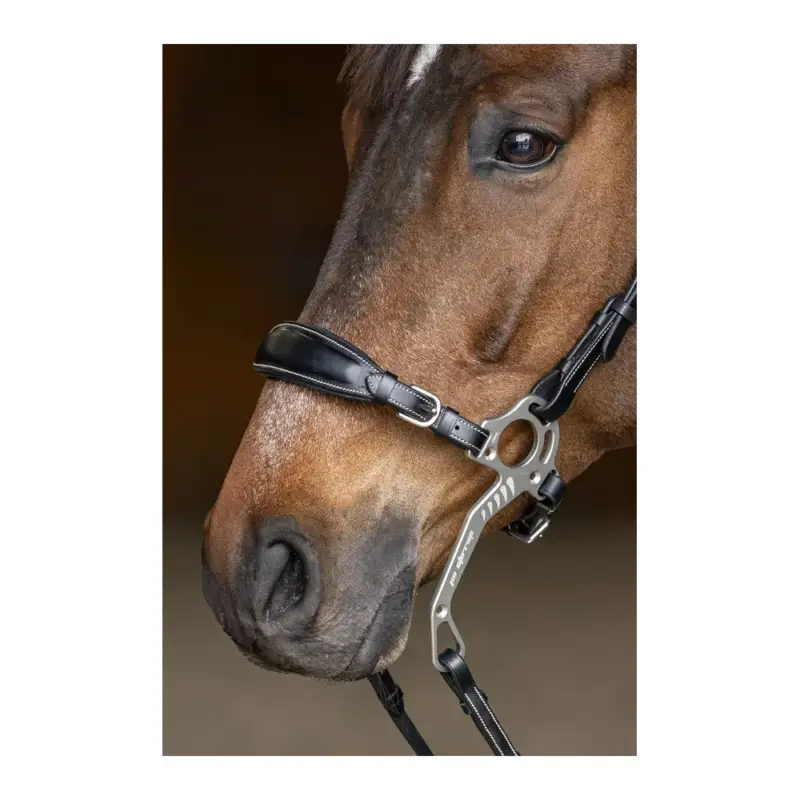 Set Museruola Gourmette Hackamore HFI Master Offerta Lampo