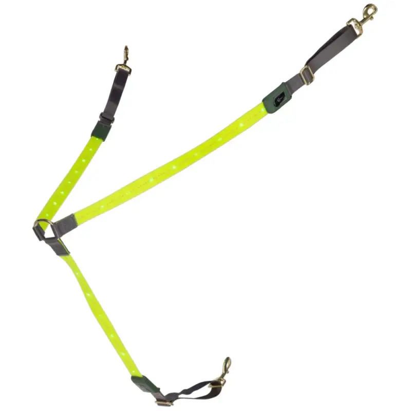 Collare da caccia a LED Covalliero Prezzo Scontato